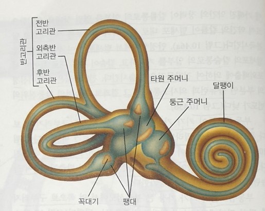 (주)안뜰 이미지