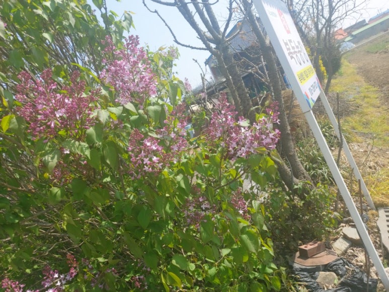 복동농장 이미지