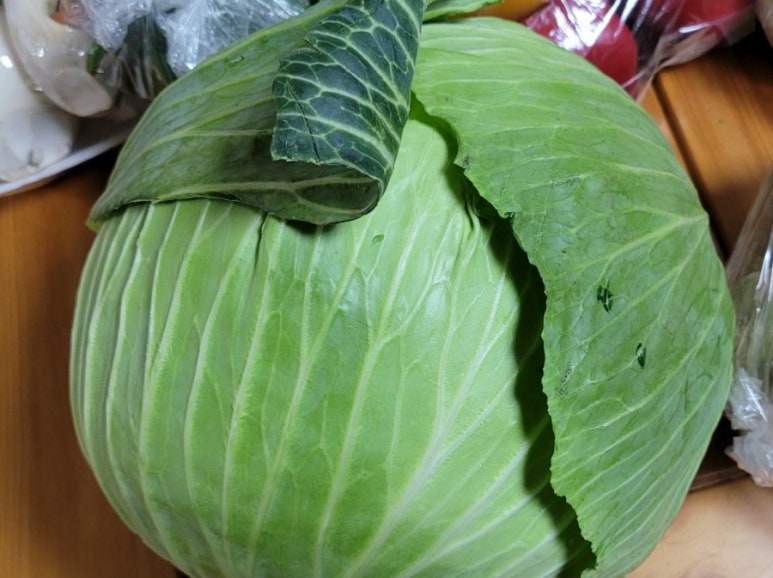 신비로마트 이미지
