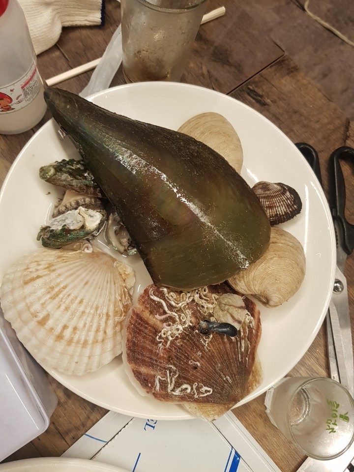 조개창고 이미지