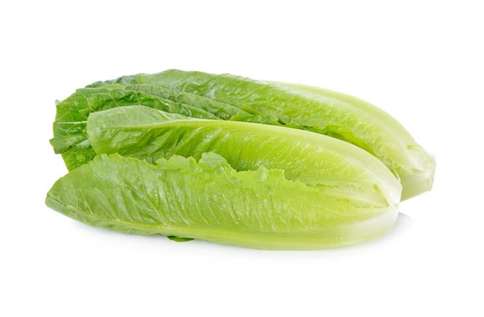 U.S푸드 이미지