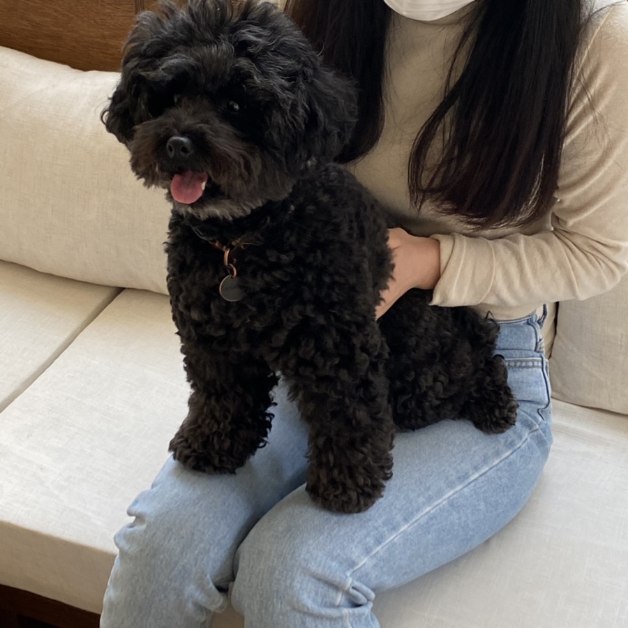 택스커피 이미지