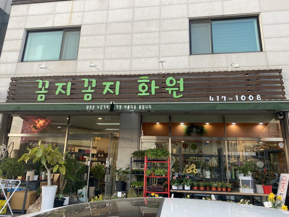 꼼지꼼지화원 이미지