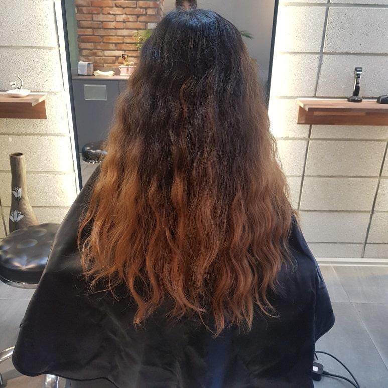 1985미장원 이미지
