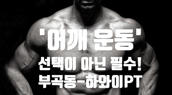 하와이피티 이미지