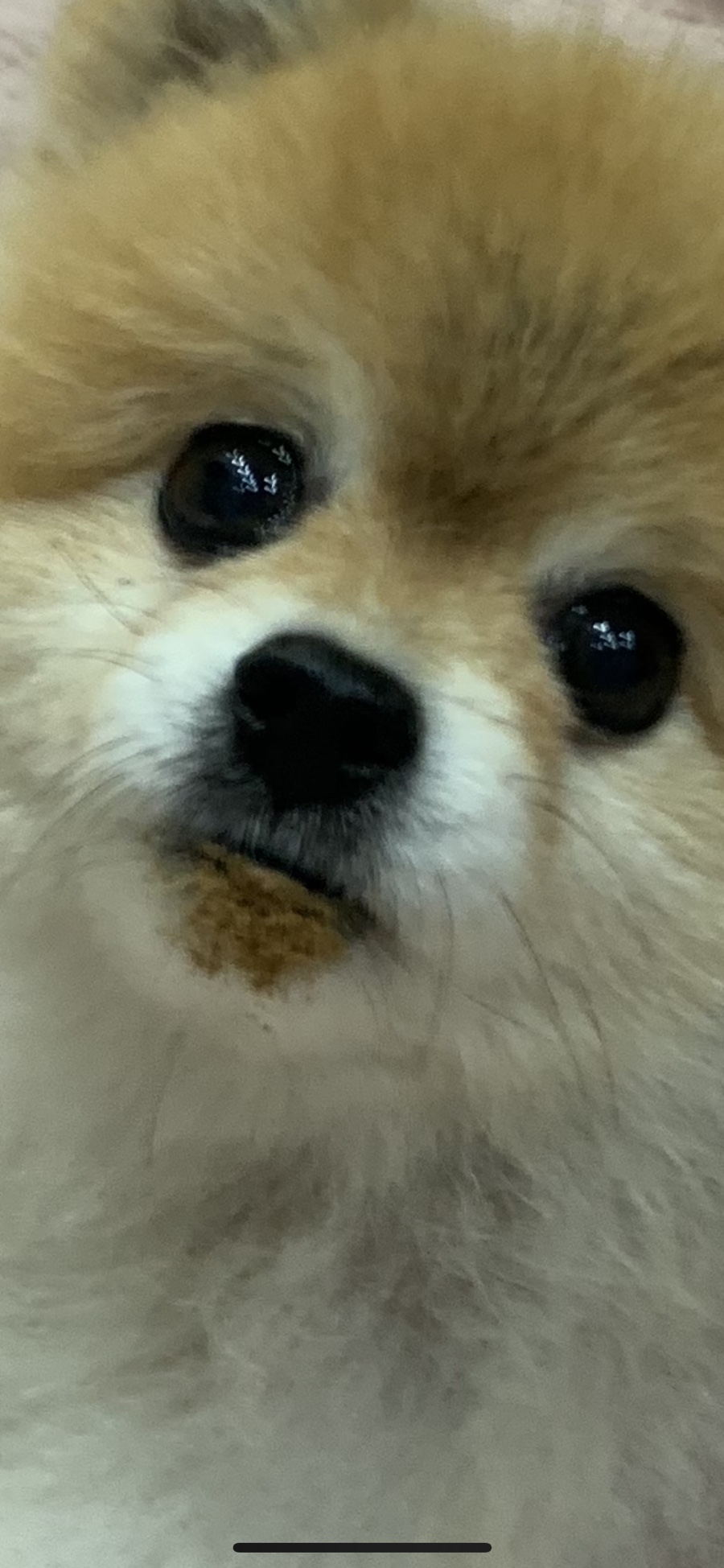 냠냠 이미지