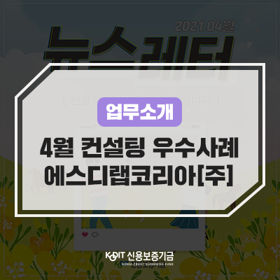 에스디컨설팅 이미지