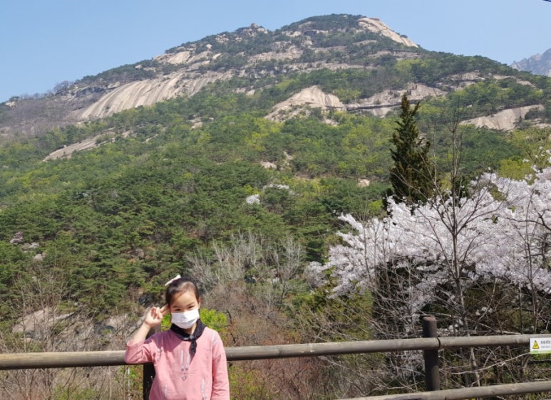 부칸산837 이미지