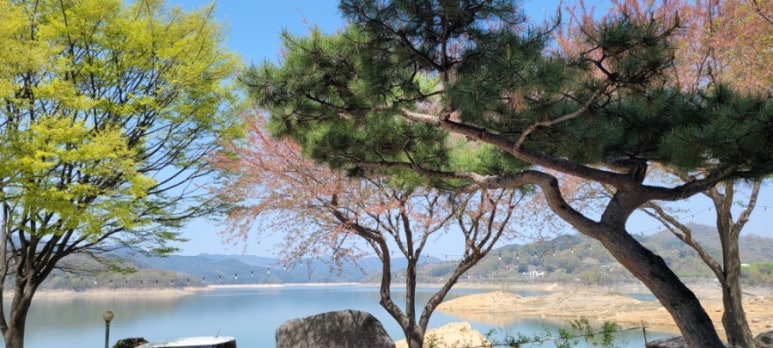 송가네아구찜 이미지