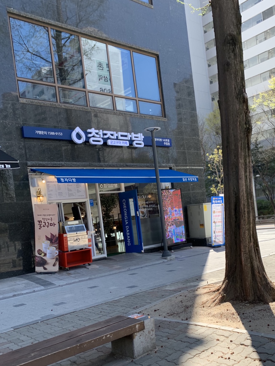 청자다방 주엽점 이미지
