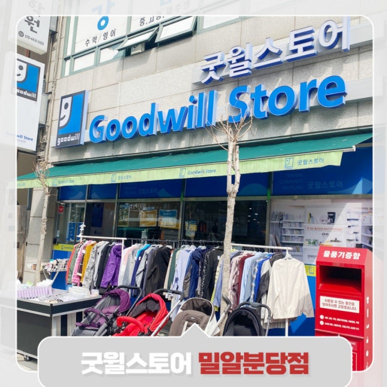 세노 이미지