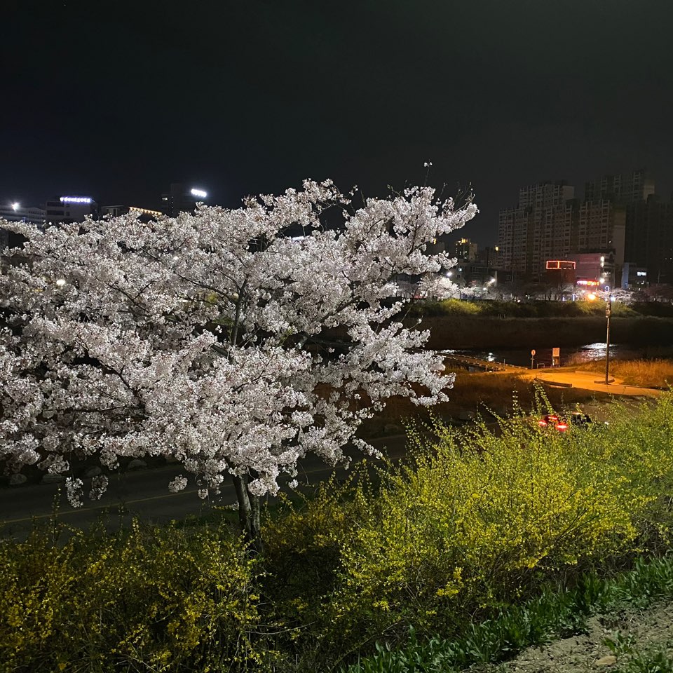 참빗미용실 이미지