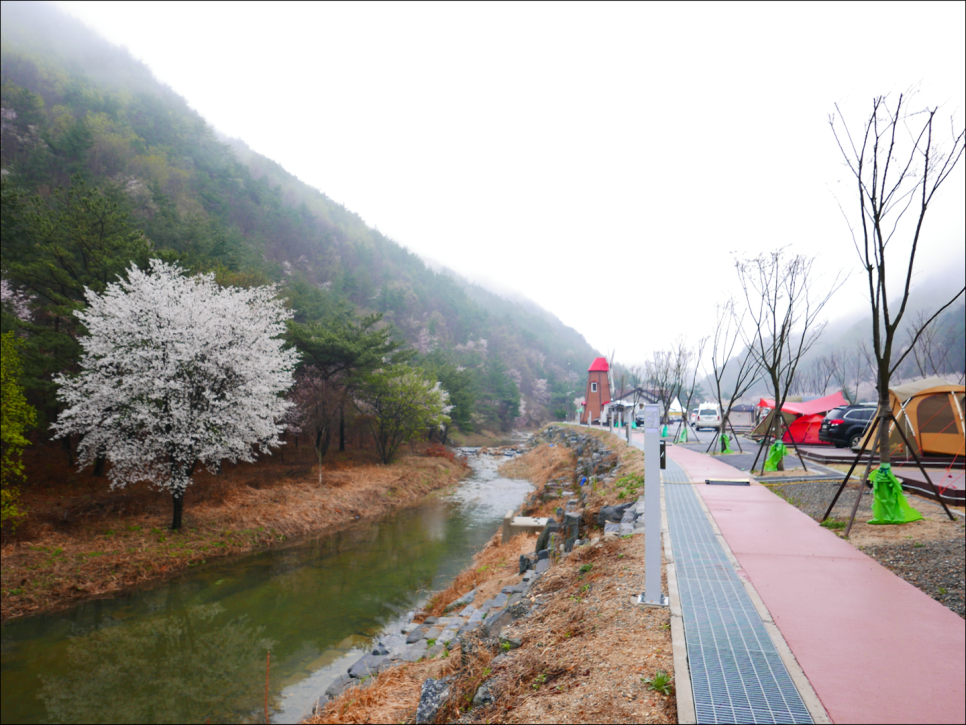 산꽃벚꽃오토캠핑장 이미지