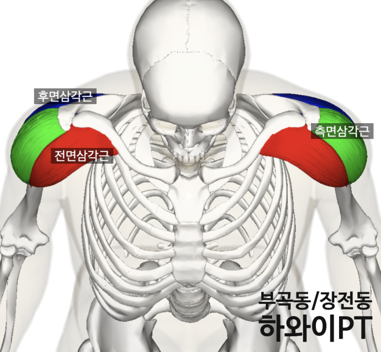 하와이피티 이미지