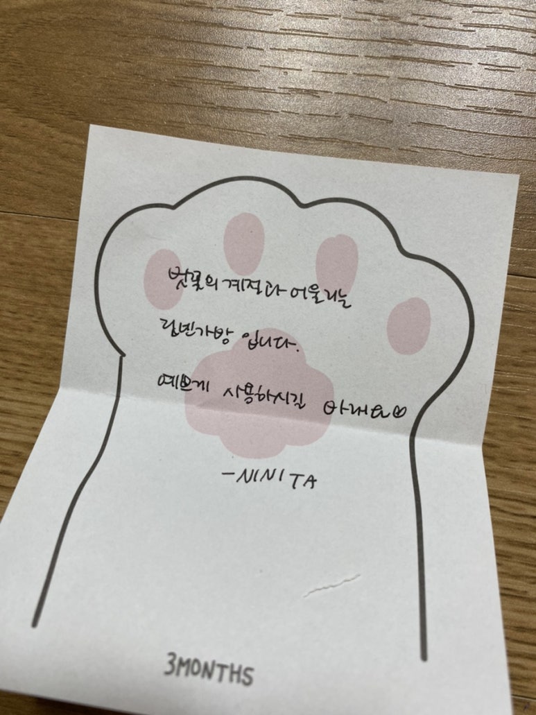 니니타 이미지