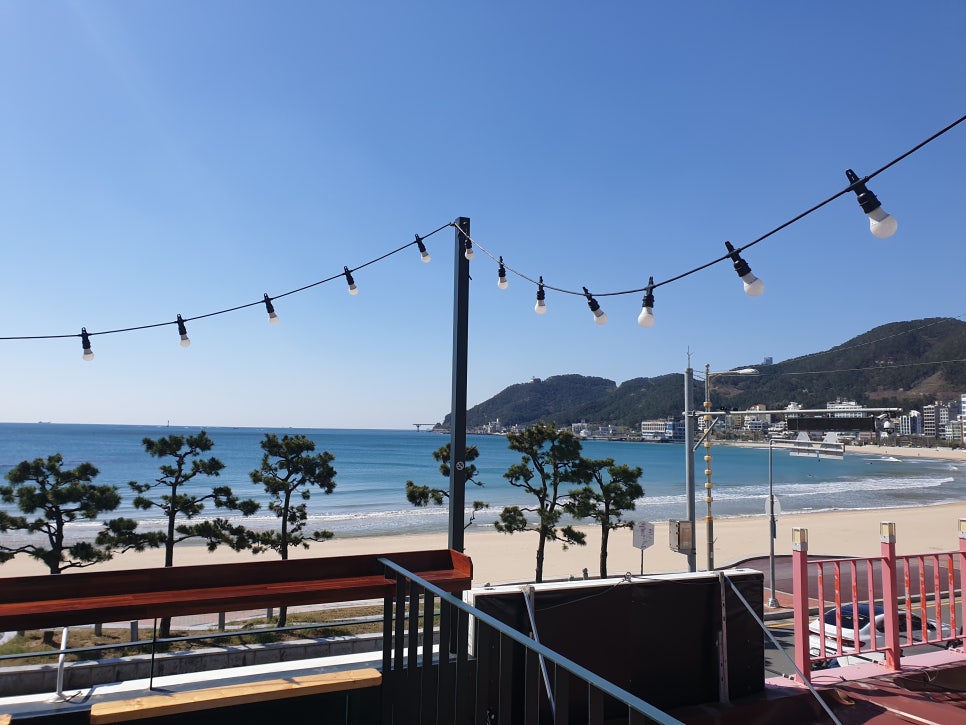 송정동핫도그 이미지