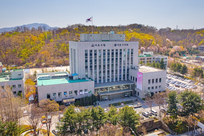 와이즈레인 이미지