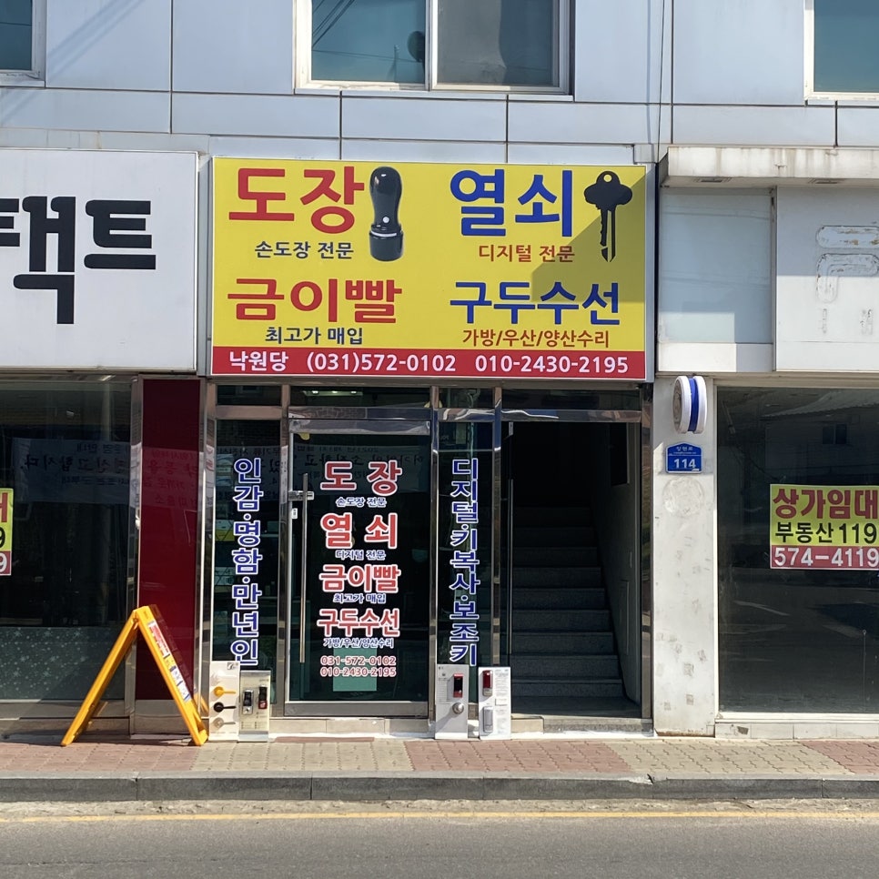 양지수선 이미지
