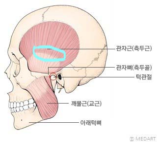 나우미 이미지