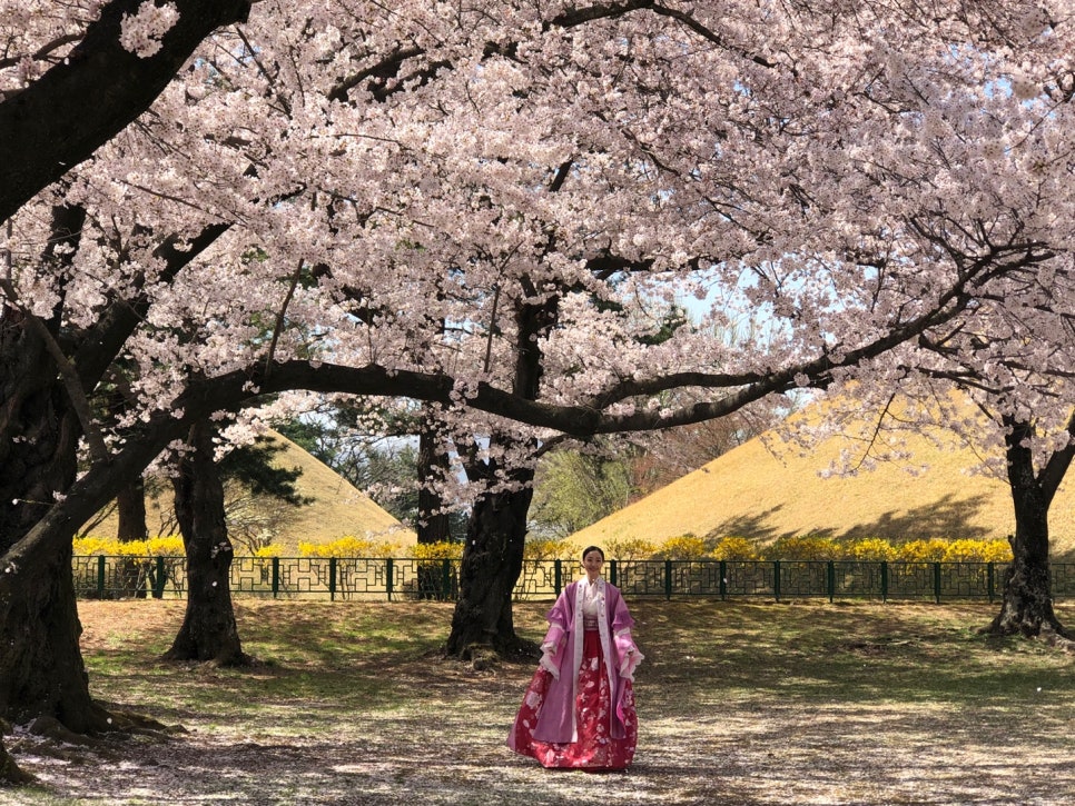 서라벌한복 이미지
