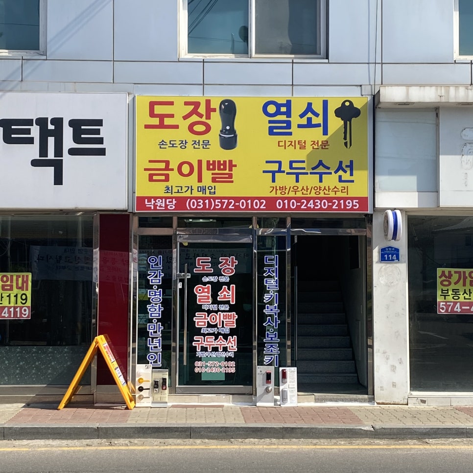 양지수선 이미지