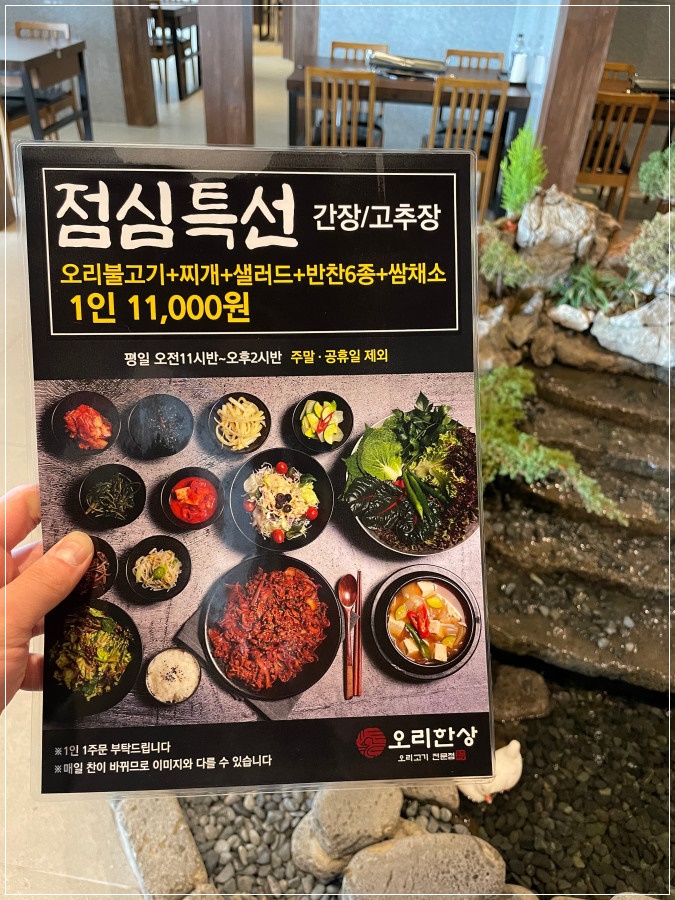 국제오리 이미지