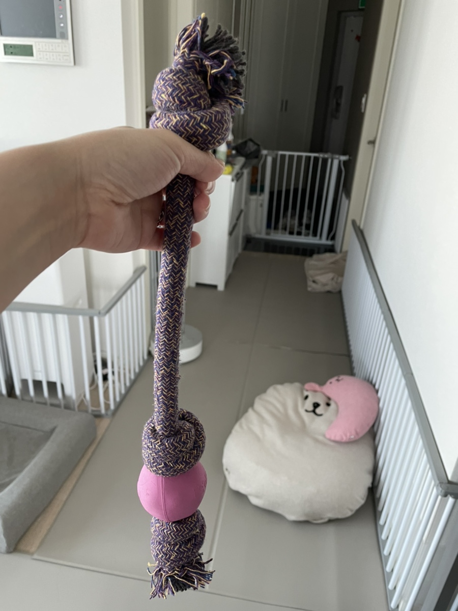 펫츠바이 이미지