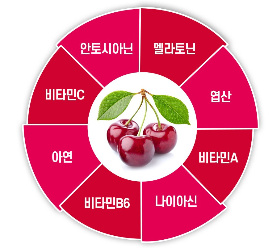 하이체리 이미지