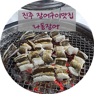 나동장어 이미지