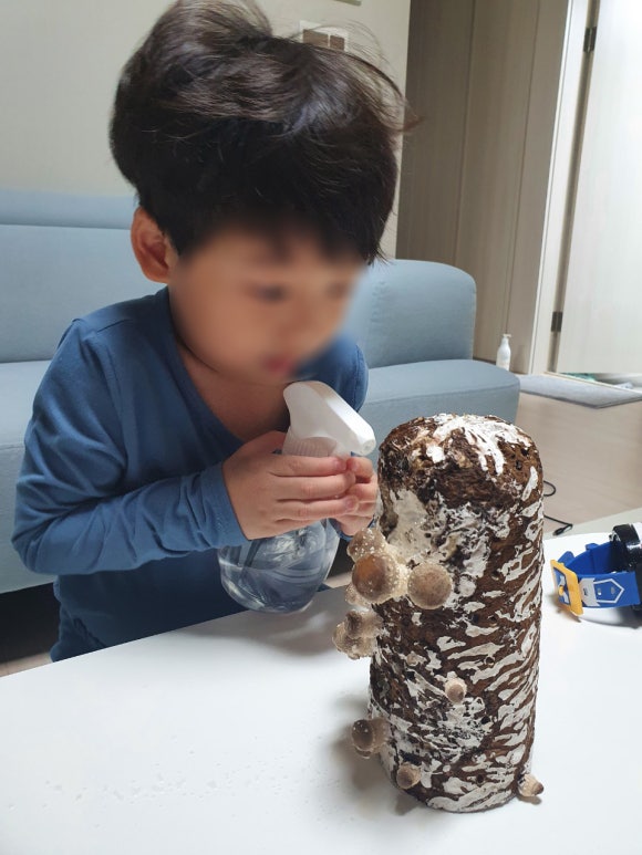 법인청사초롱마을 이미지