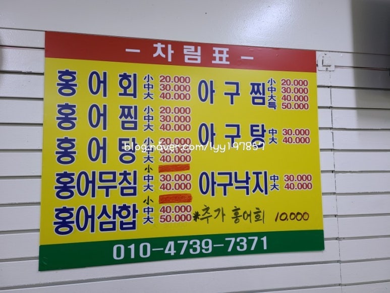 용두홍어 이미지
