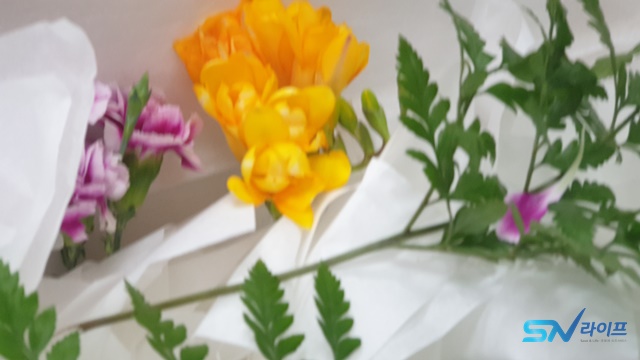대림라이프상조 이미지