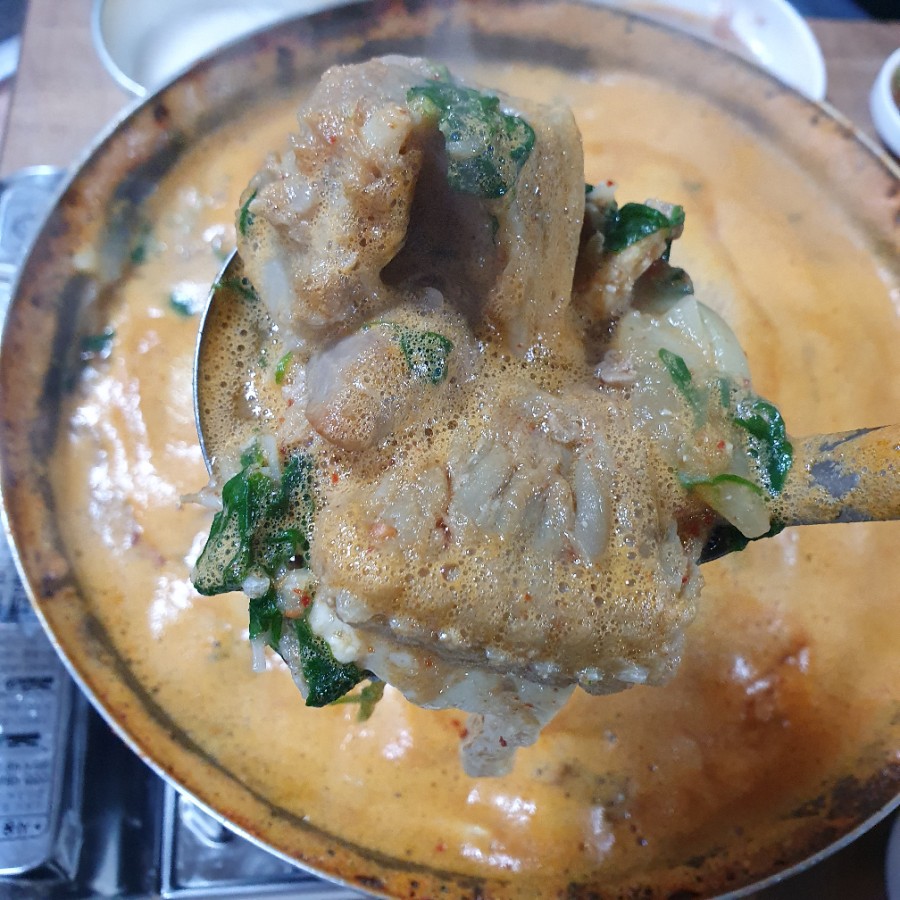 홍탁나라 이미지