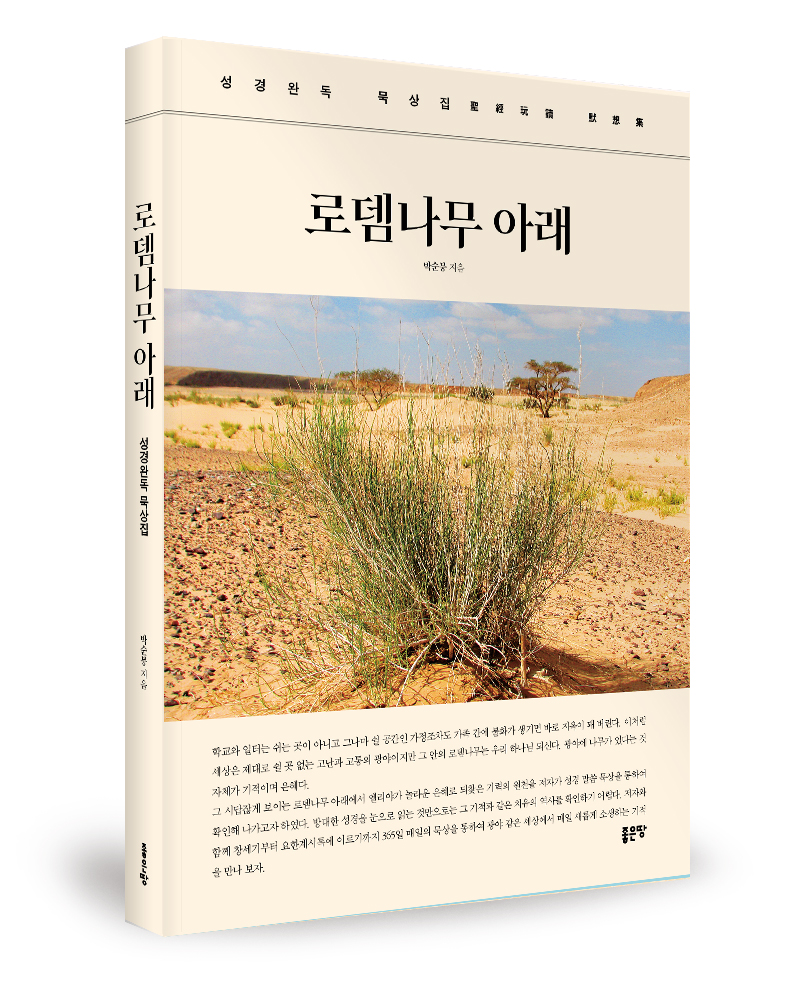 로뎀나무 이미지
