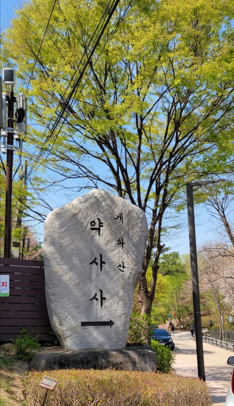 아라참 간식 이미지