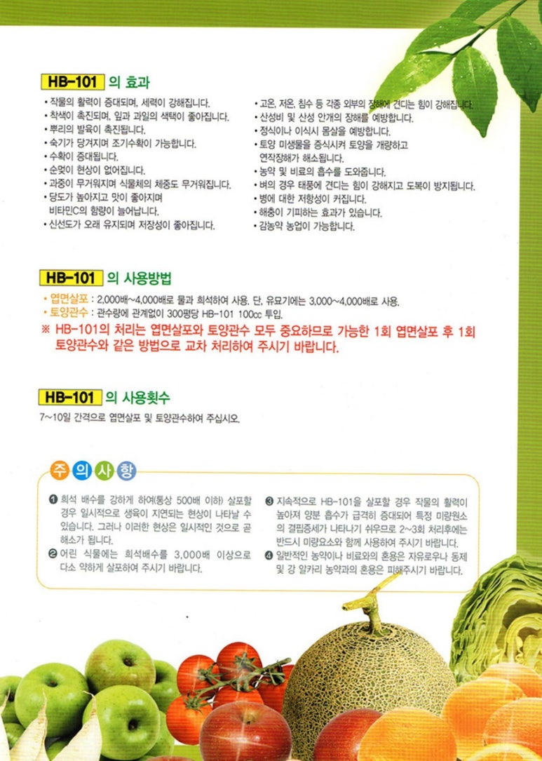 에이치비(HB) 이미지