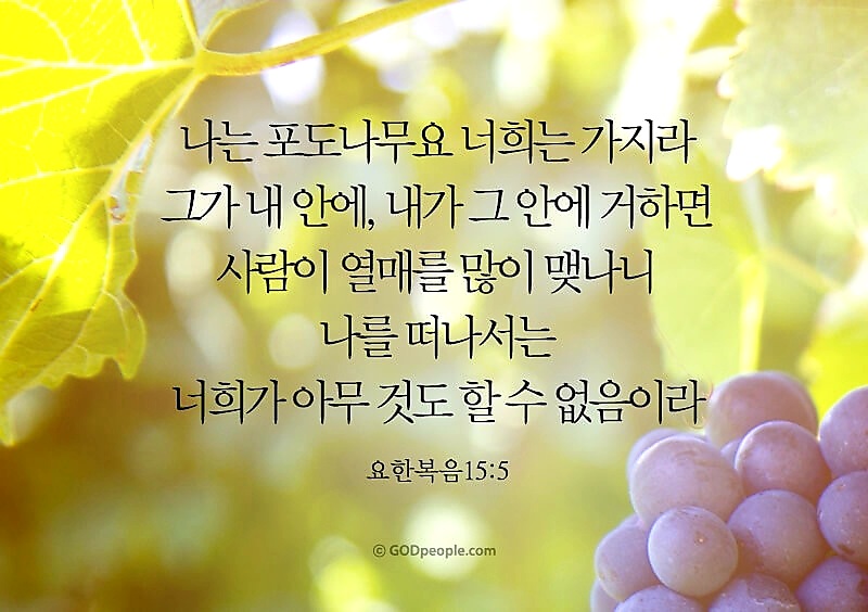 남산중국한의원 이미지