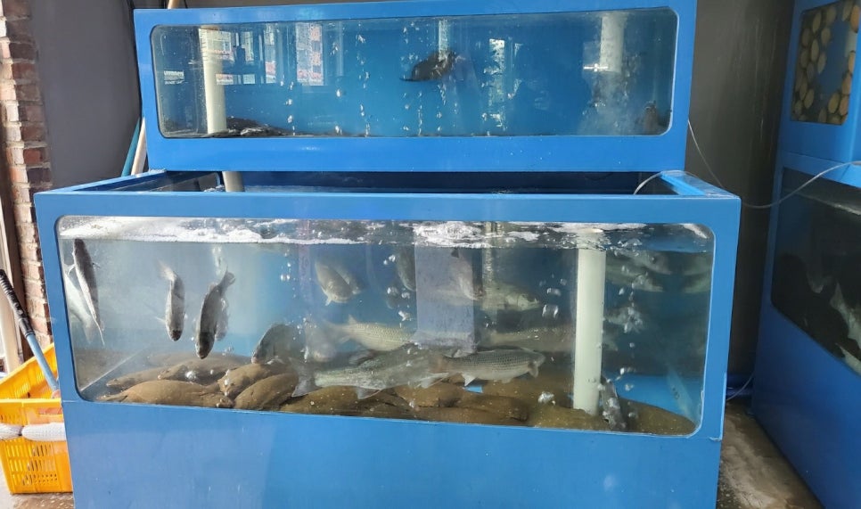 배달회만족 이미지
