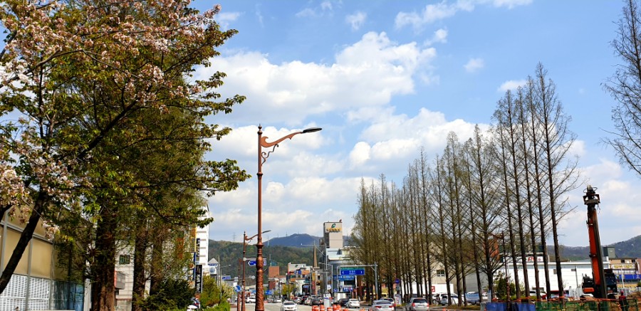 남산중국한의원 이미지