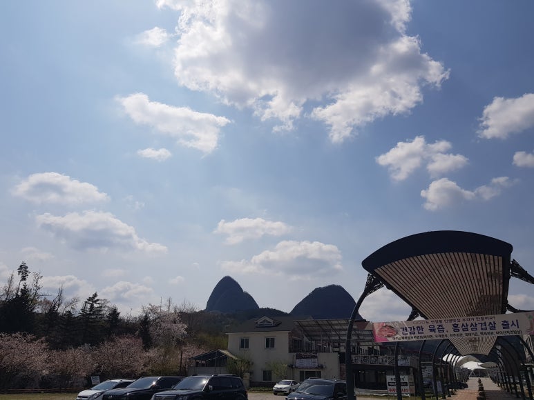 일품농산 이미지