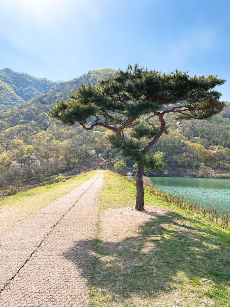 창포상회 이미지