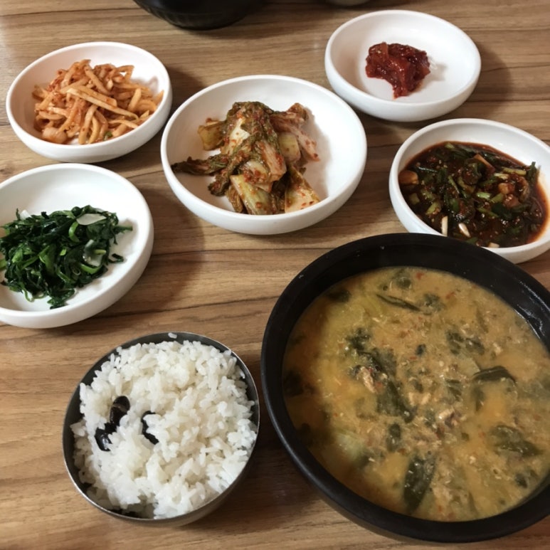 정꼬야 이미지