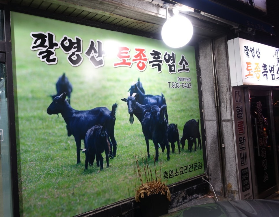 팔영산흑염소 이미지