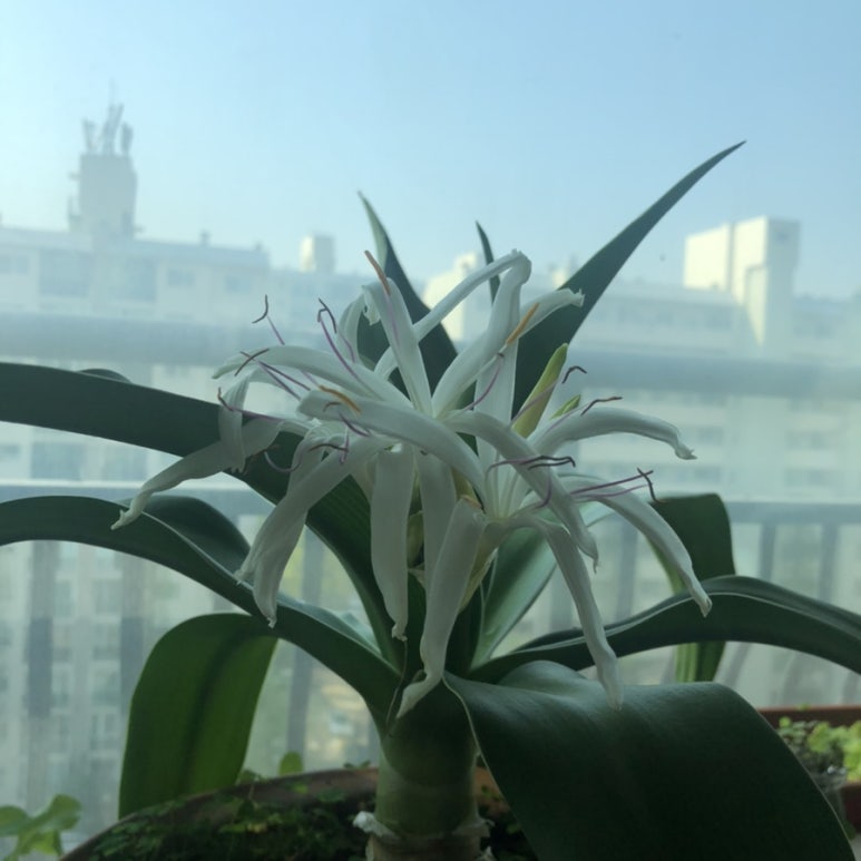 문주화랑 이미지