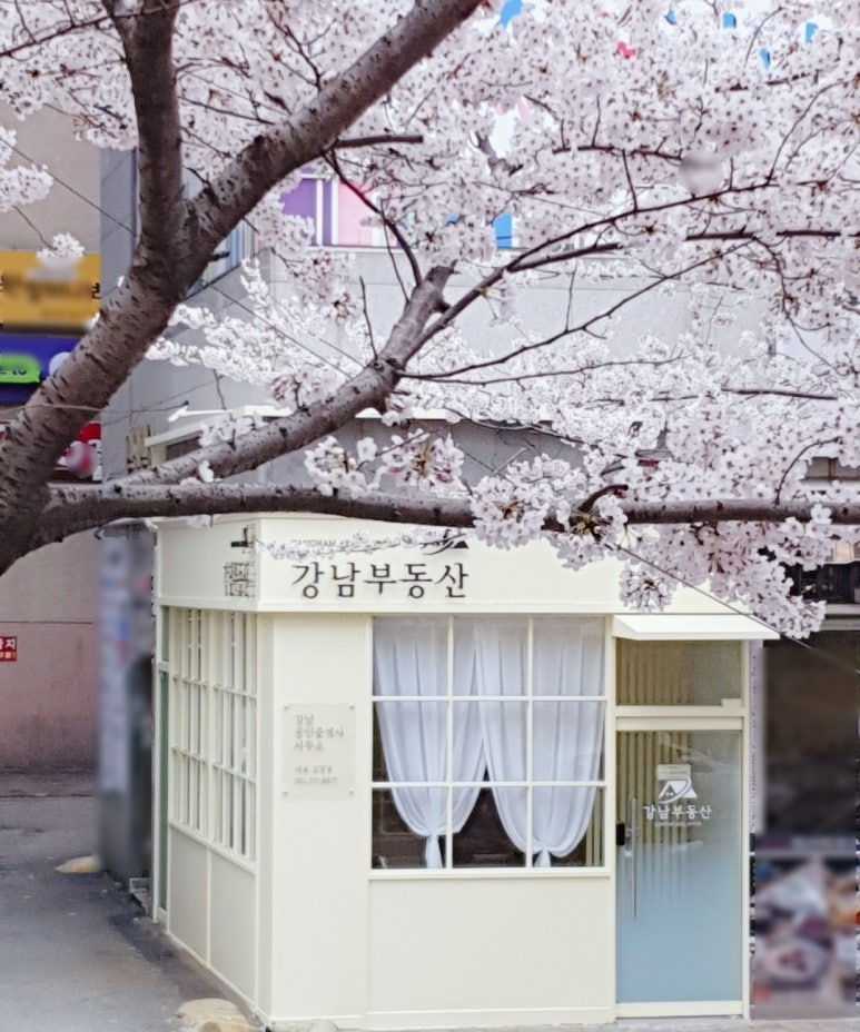 원지1번지 이미지