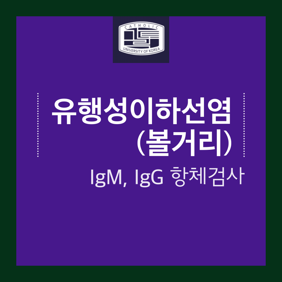 송파베스트내과의원 이미지