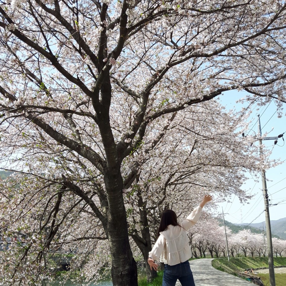 순천황우 이미지