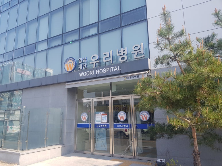 송우마포갈매기 이미지