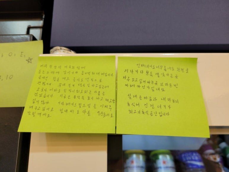 브라운빈두정 이미지