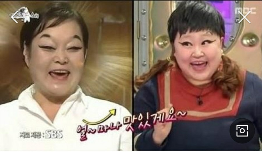 커피트리 이미지